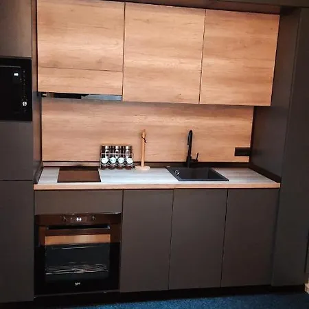 Apartment Posejdon Deluxe Vrnjacka Banja